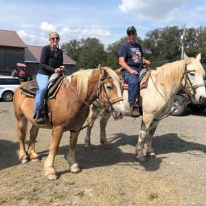 Meet your Posher, Martin terri